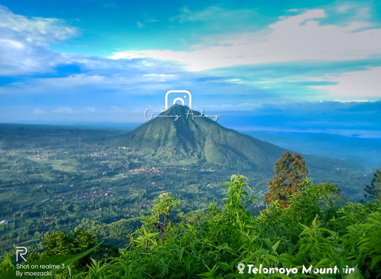 Telomoyo Nature Park: Surga Tersembunyi di Lereng Gunung