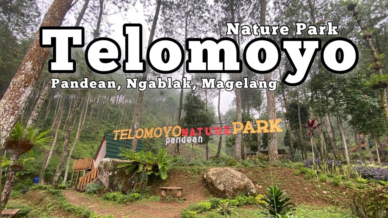 Telomoyo Nature Park: Menjelajahi Keindahan Alam di Lereng Gunung Merapi